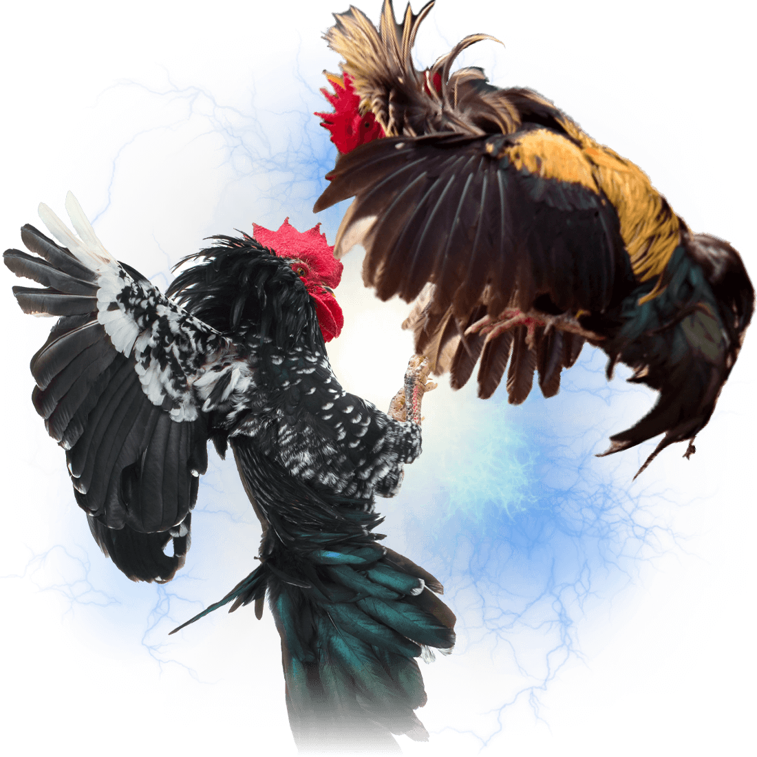 WS168 Nhà cung cấp Casino Trực tiếp